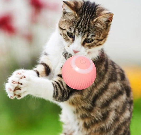 USB Charging Automatic 360 Degree Automatic Pet Rolling Ball For Puppy Cats Kitten - Pink_0